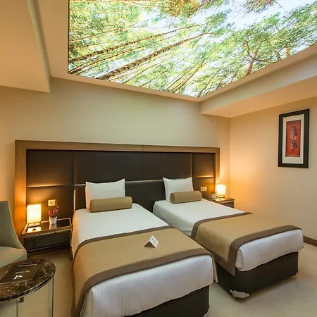 Hotell Inside Sisli 4*